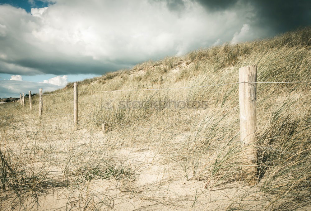 Similar – Image, Stock Photo late summer Environment