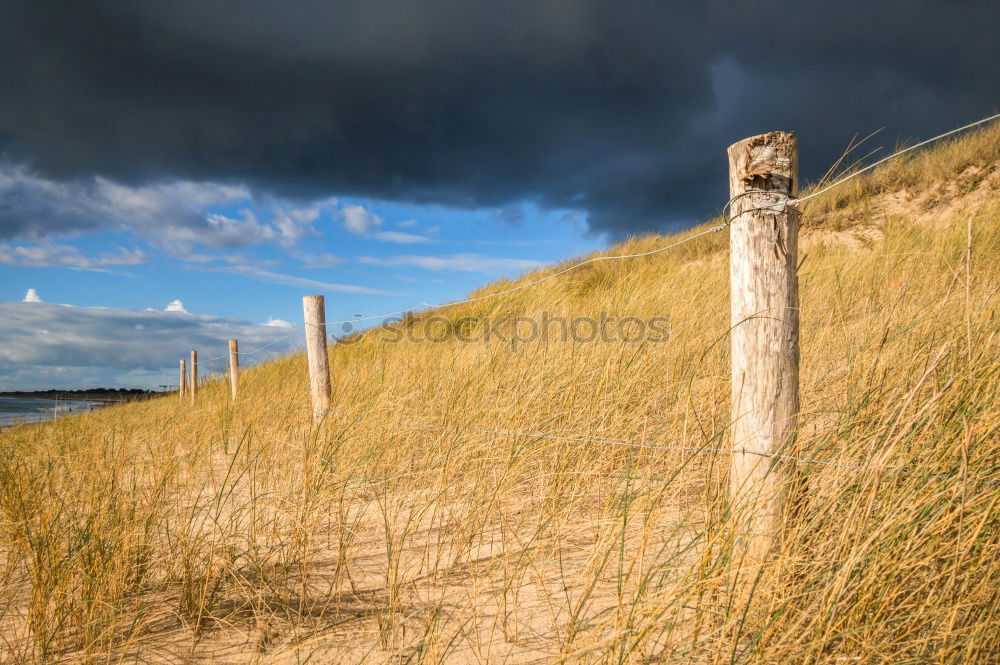 Similar – Image, Stock Photo late summer Environment