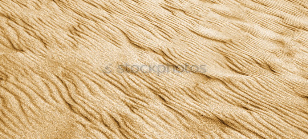 Similar – Image, Stock Photo the sahara morocco desert