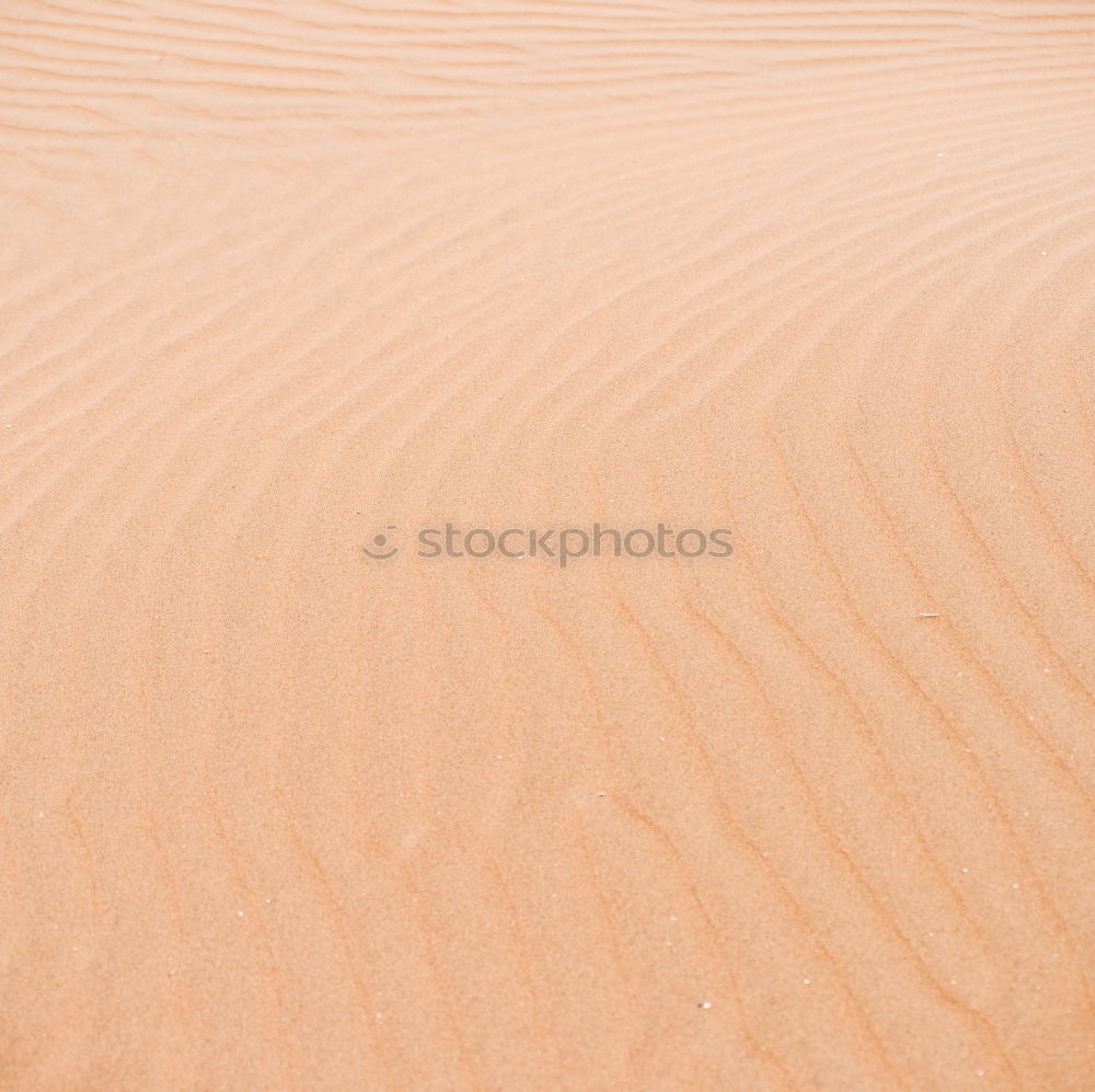 Similar – Image, Stock Photo Upper sixth Beach Coast