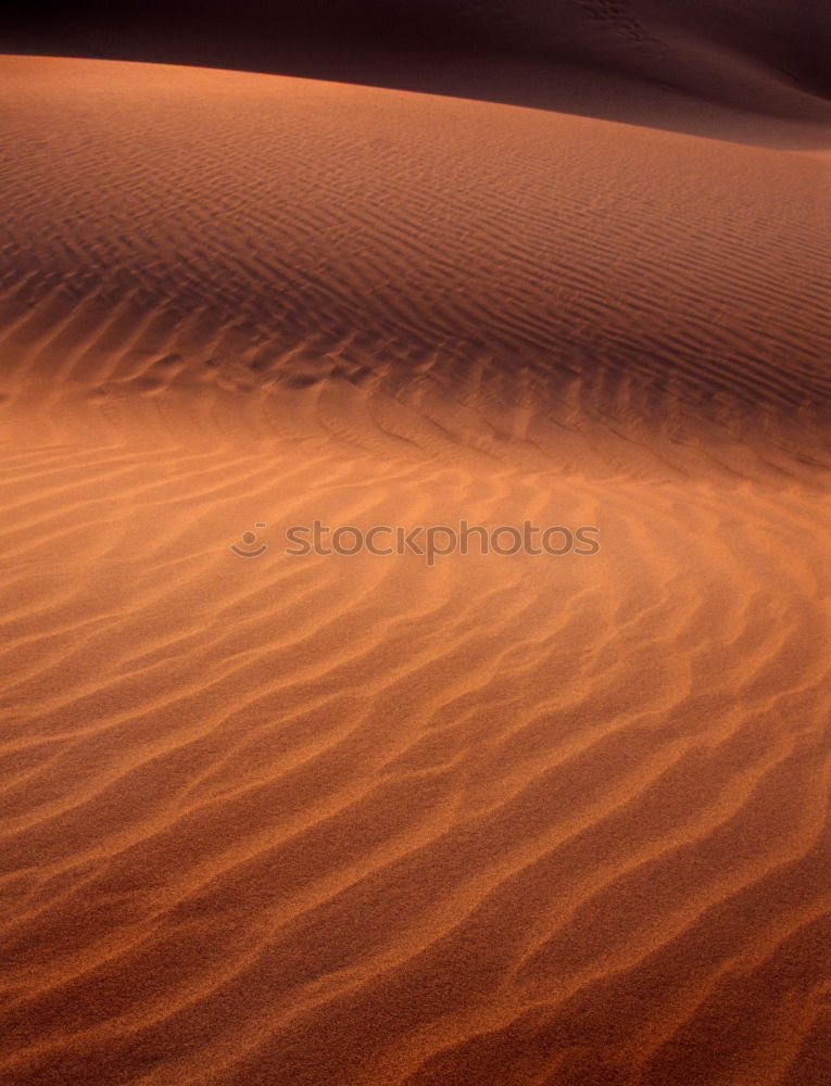 Similar – Sandgeflüster Düne Wüste