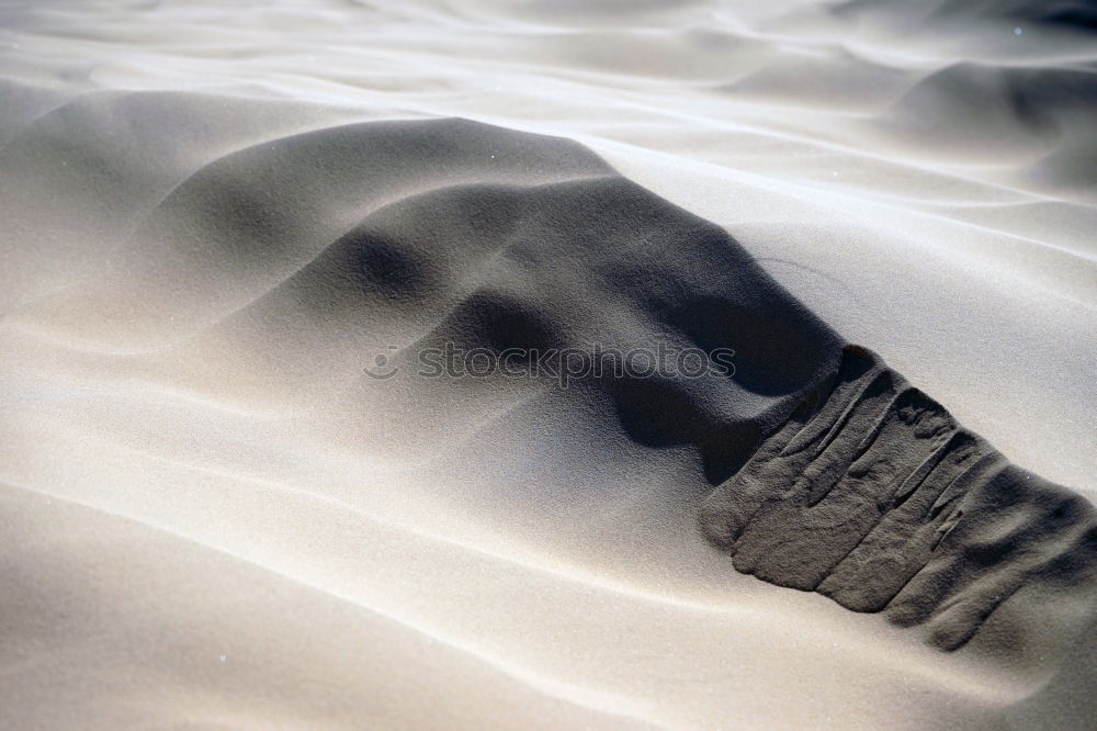 Similar – Image, Stock Photo Spiekeroog. Stiff breeze.