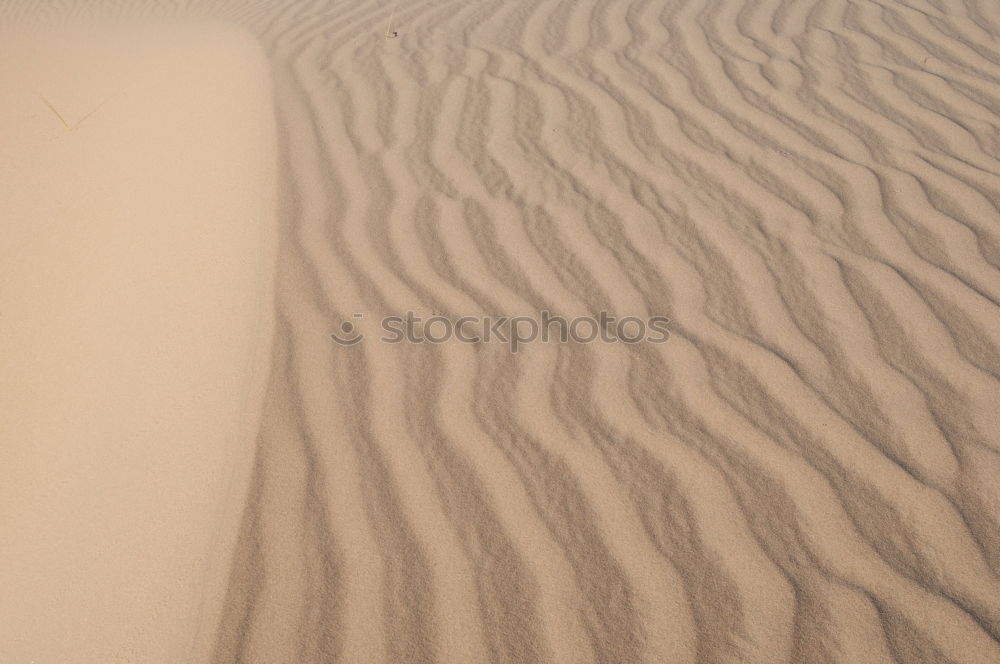 Similar – sand Calm Nature Sand