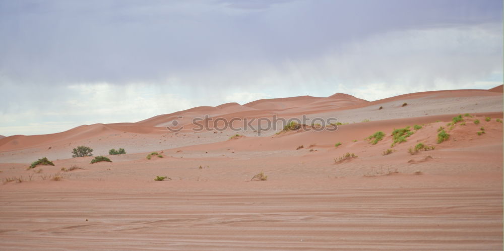 Similar – Image, Stock Photo Mui Ne Sand Dune