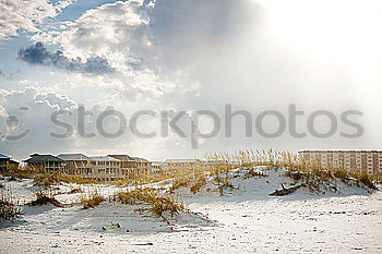 Similar – Image, Stock Photo April Ocean Beach