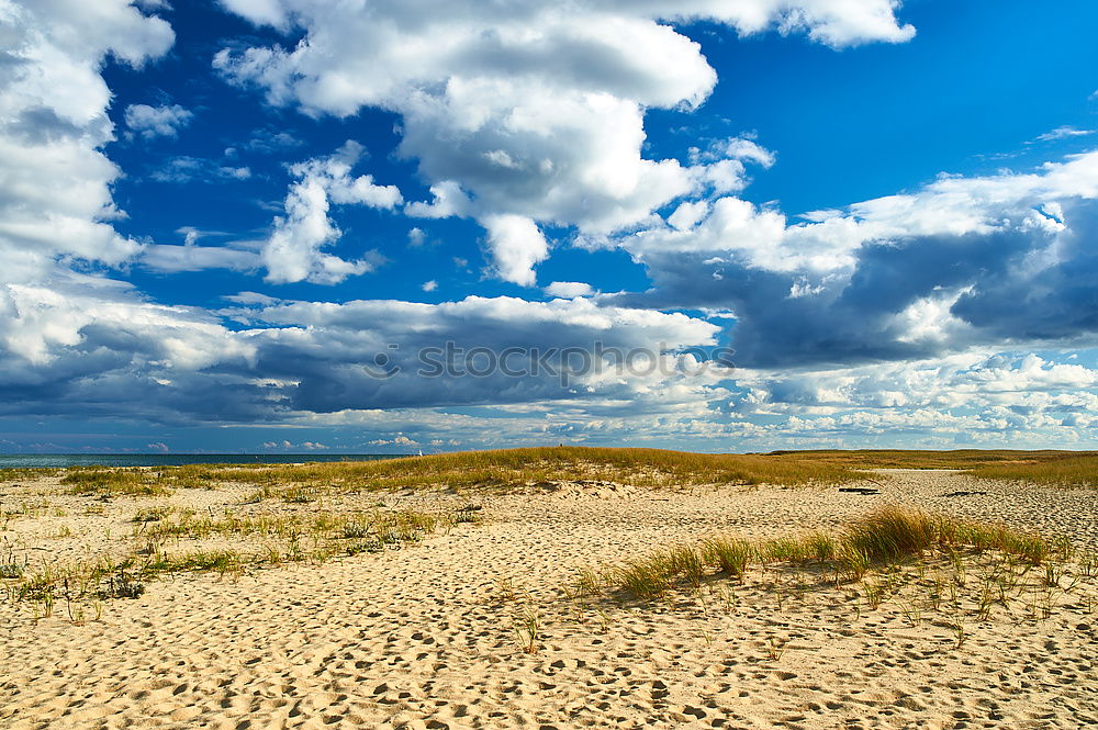 Similar – Landscape with dunes on the island of Amrum