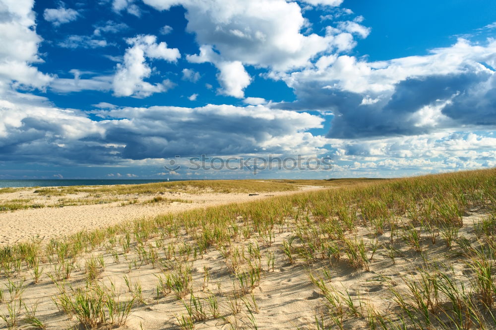 Similar – Landscape with dunes on the island of Amrum