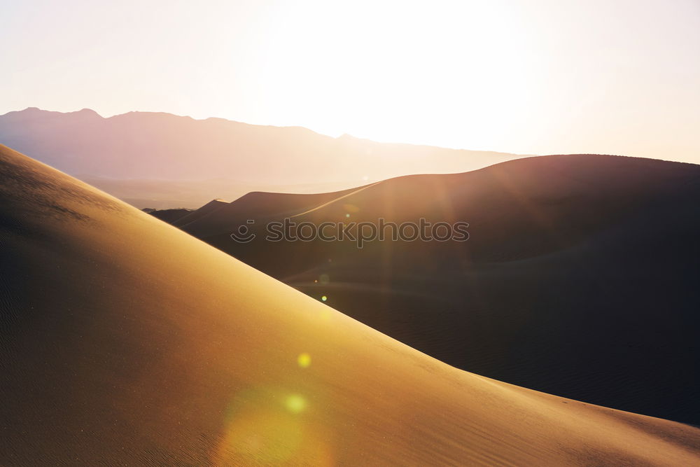 Similar – Image, Stock Photo bear cactus Art