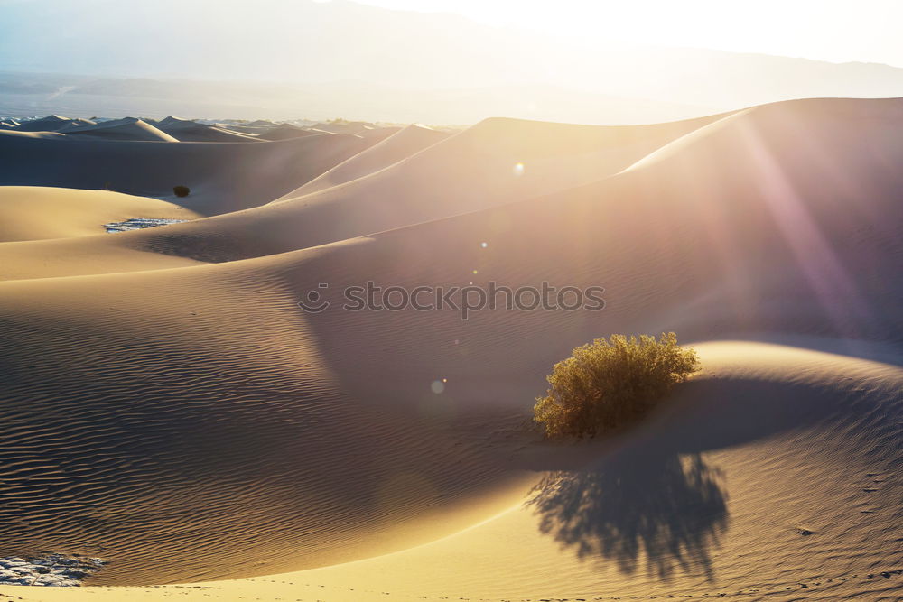 Similar – Image, Stock Photo Camping in Great Sand Dunes National Park