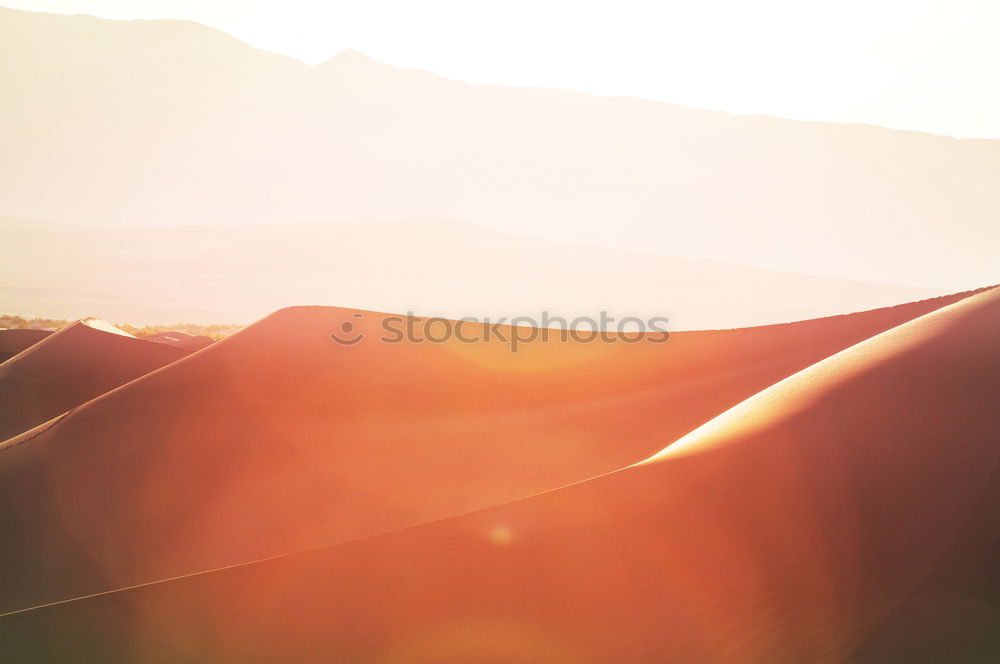 Similar – Image, Stock Photo Sahara in Morocco