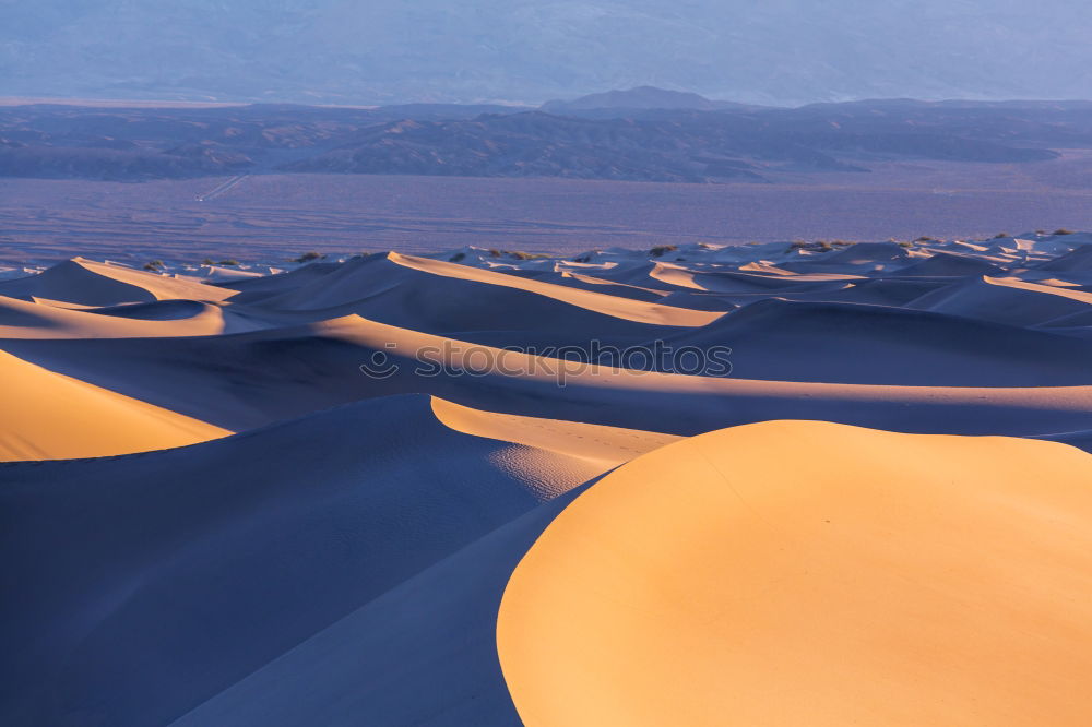 Similar – dunes Nature Landscape