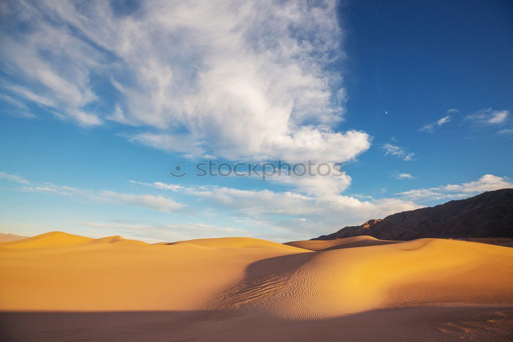 Similar – Sand dunes