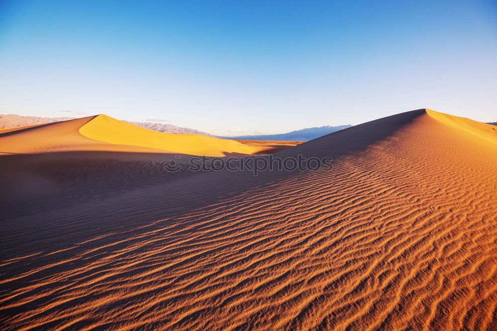 Similar – red sand Environment