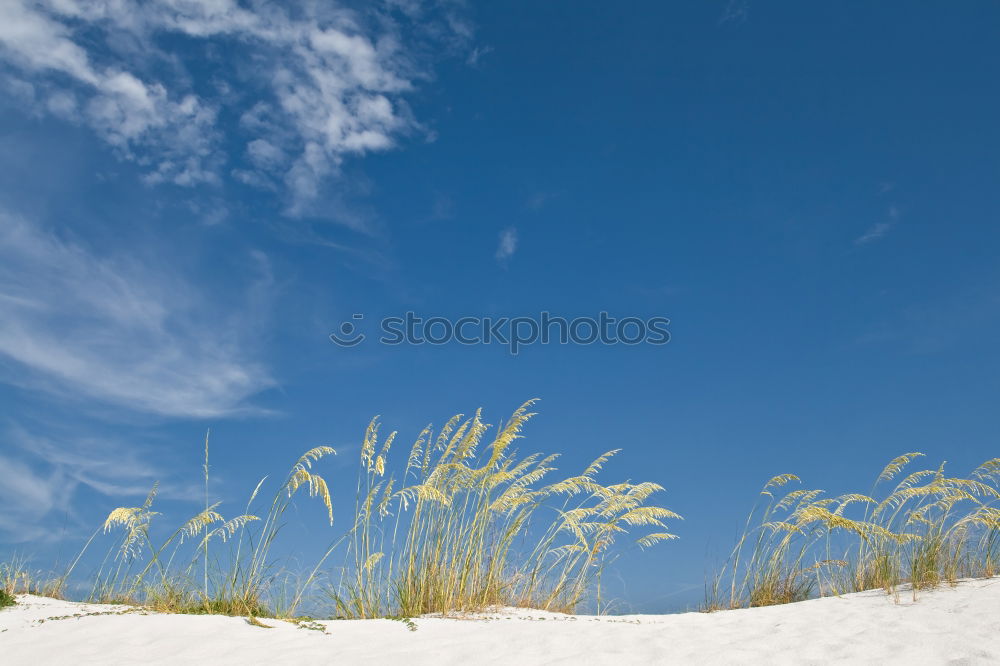 Similar – Playa de Valdoviño (España)