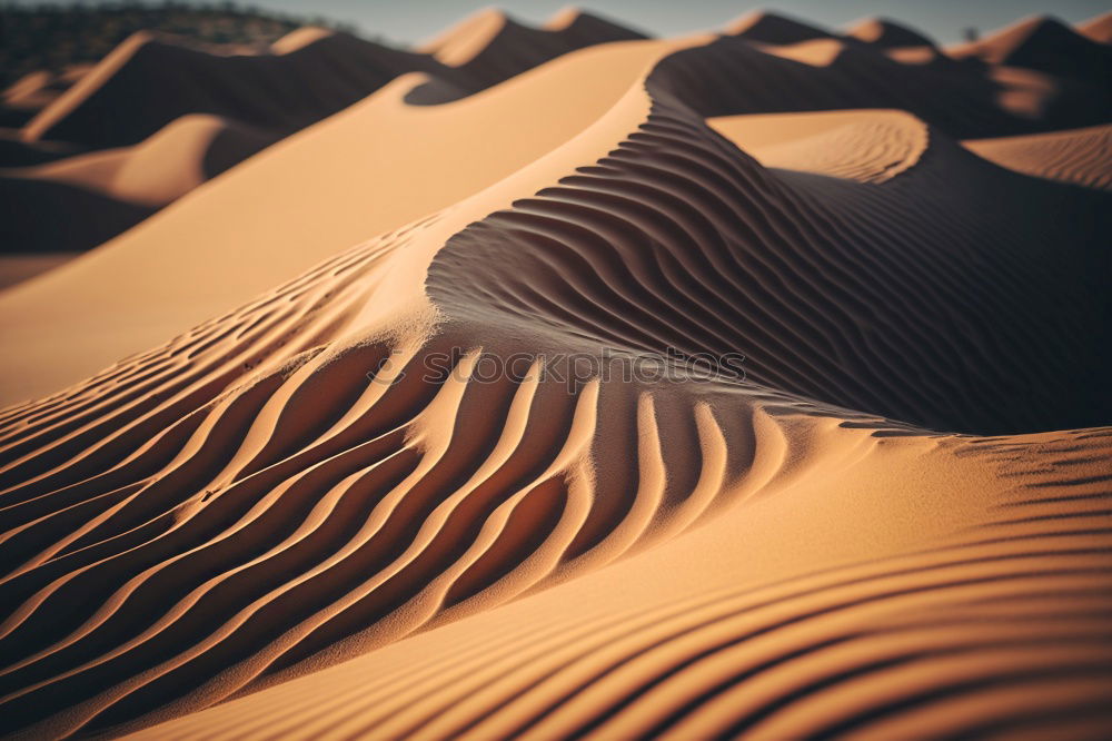 Similar – Image, Stock Photo sand dune