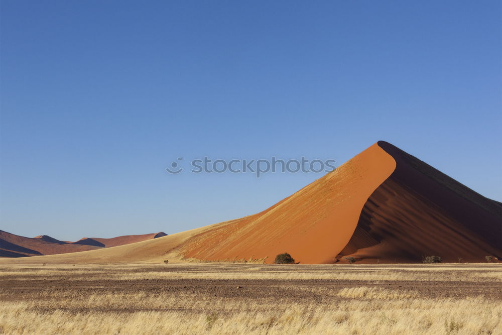 Similar – Image, Stock Photo Dune 45 Vacation & Travel