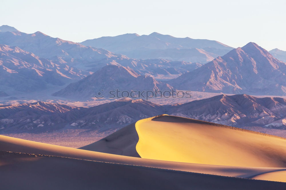 Similar – dunes Nature Landscape