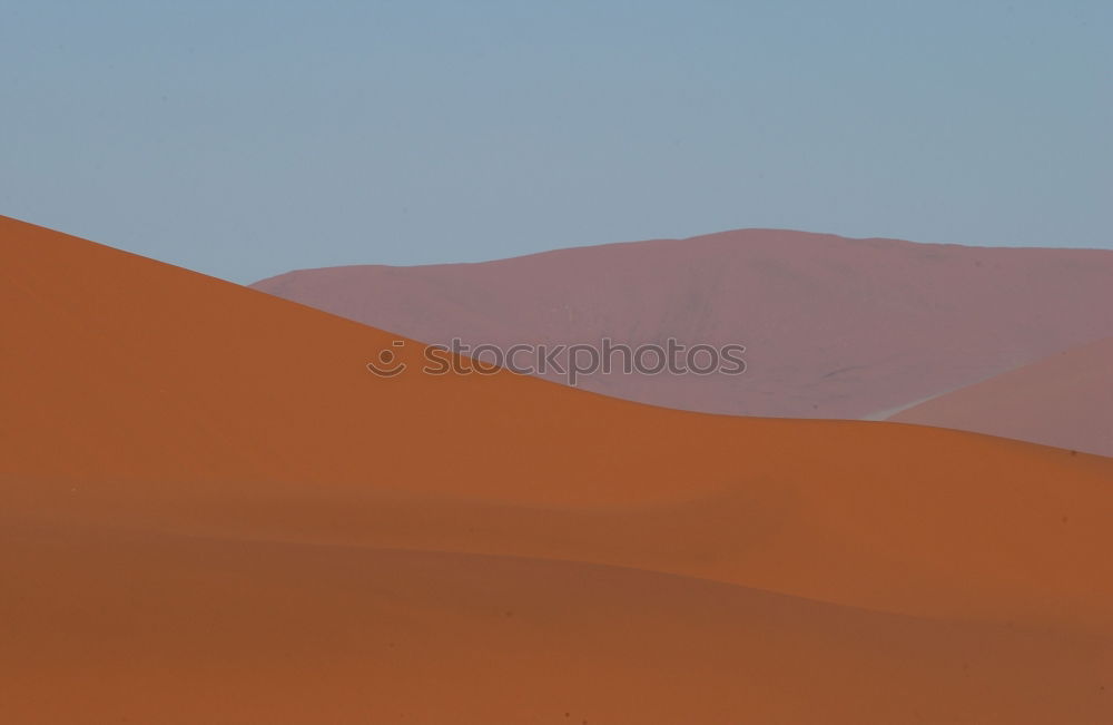 Similar – Walking on a dune shadow