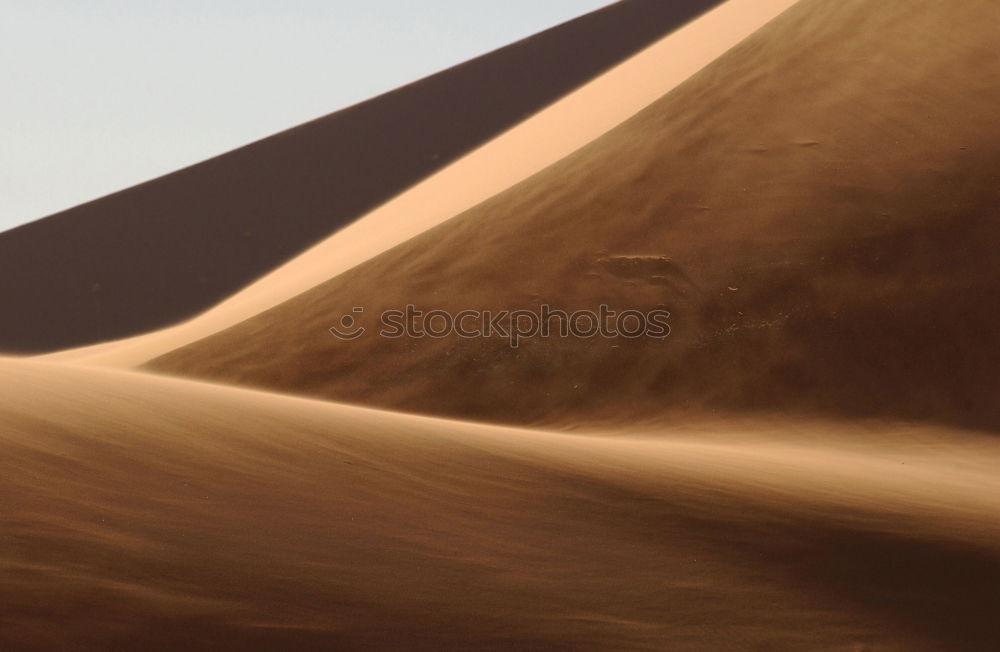 Similar – Foto Bild Wüstengold Sand Düne Wärme