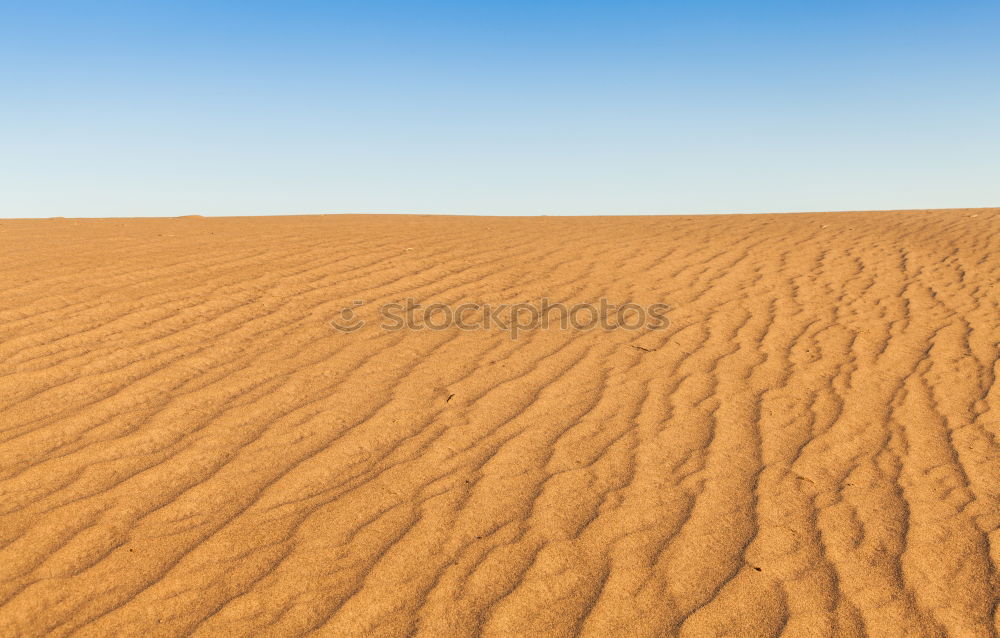 Similar – sand dune in oman old desert rub al khali