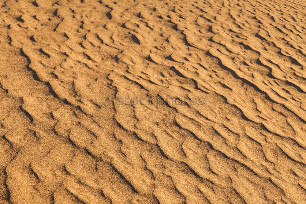 Similar – Foto Bild Wüstengold Sand Düne Wärme