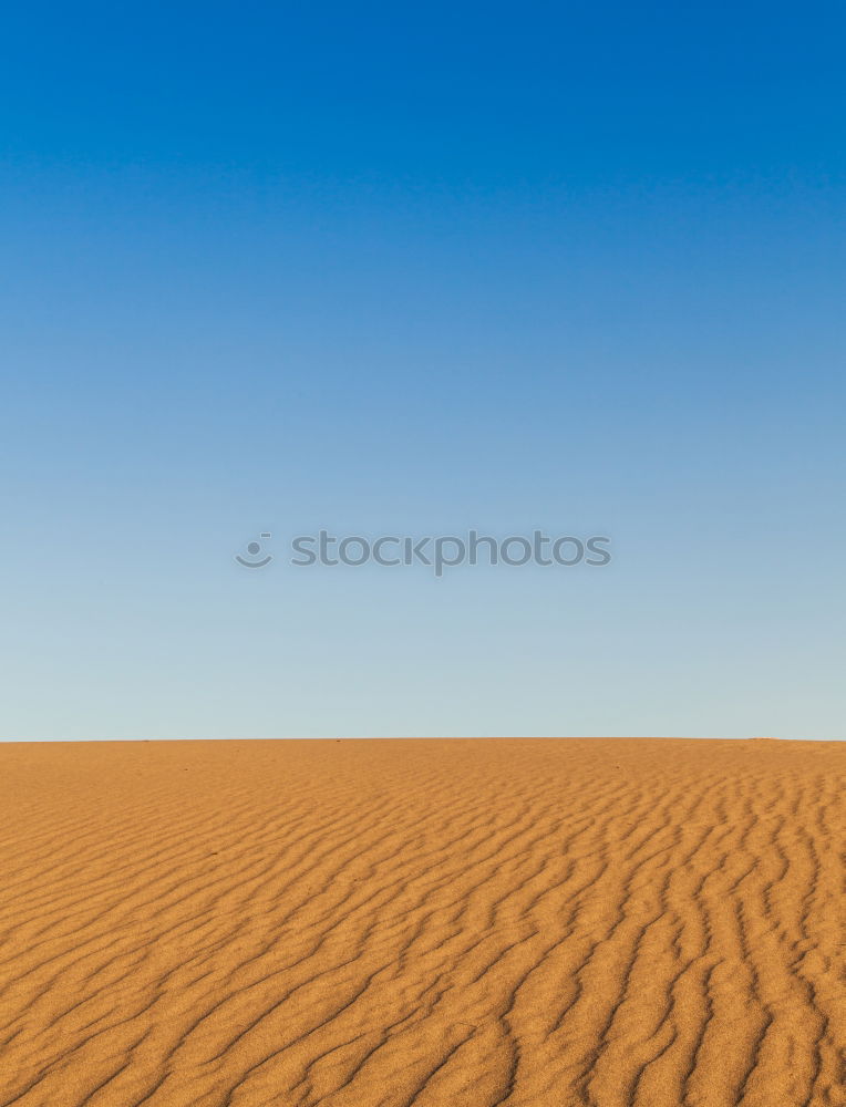 Similar – dead vlei.