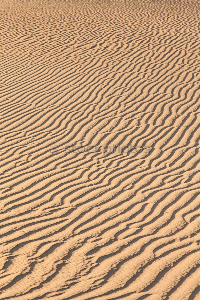 Similar – Footprints in dune sand