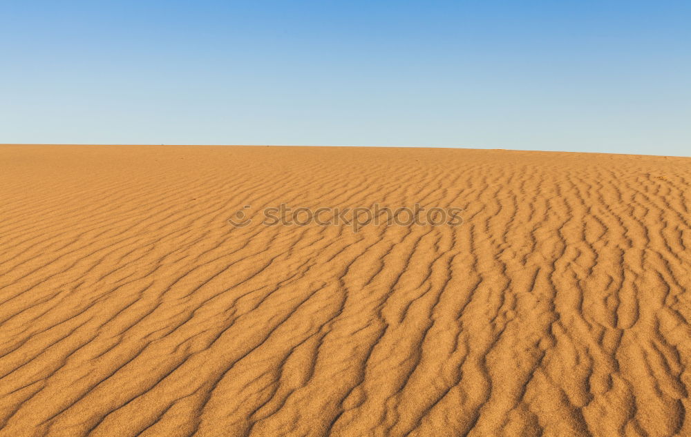 Similar – Foto Bild Wüstengold Sand Düne Wärme