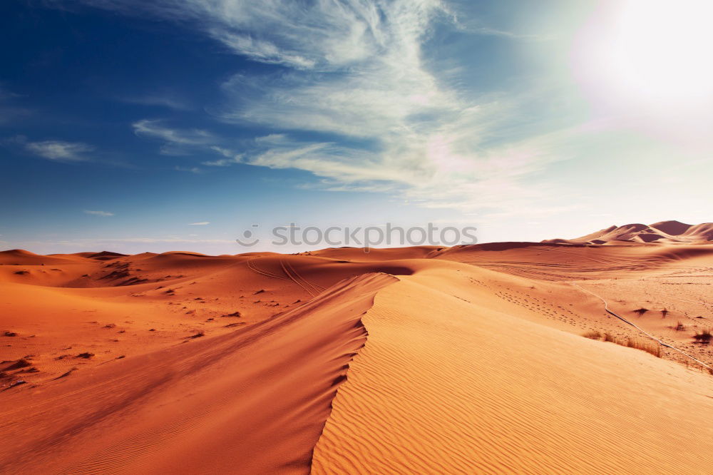 Similar – Image, Stock Photo Sahara in Morocco