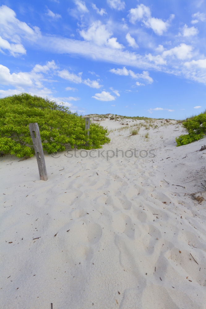 Similar – beach cafe Baltic Sea