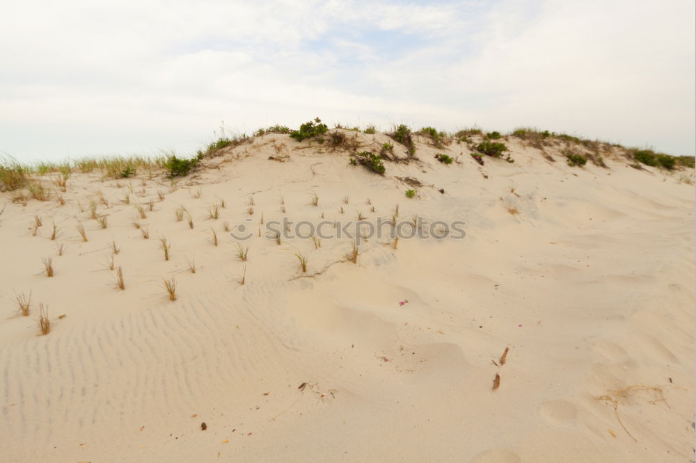 Similar – Juist Sommer Strand Meer