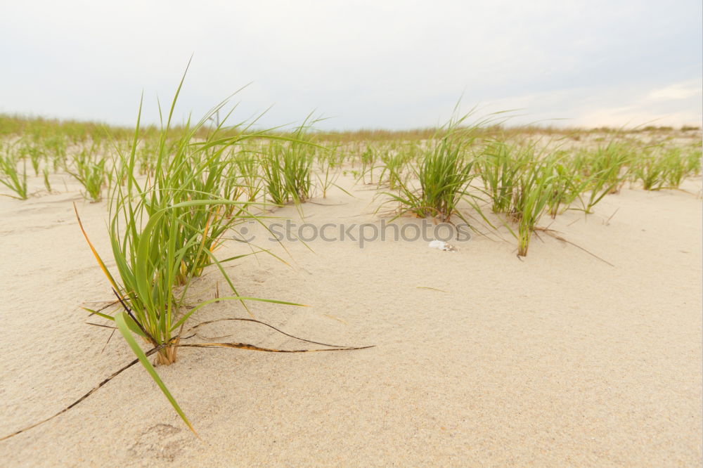 Similar – Baltic Ocean Waves