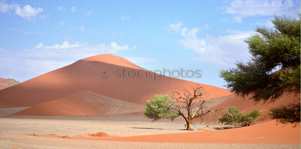 Similar – Image, Stock Photo Sandstorm in Sossusvlei #3