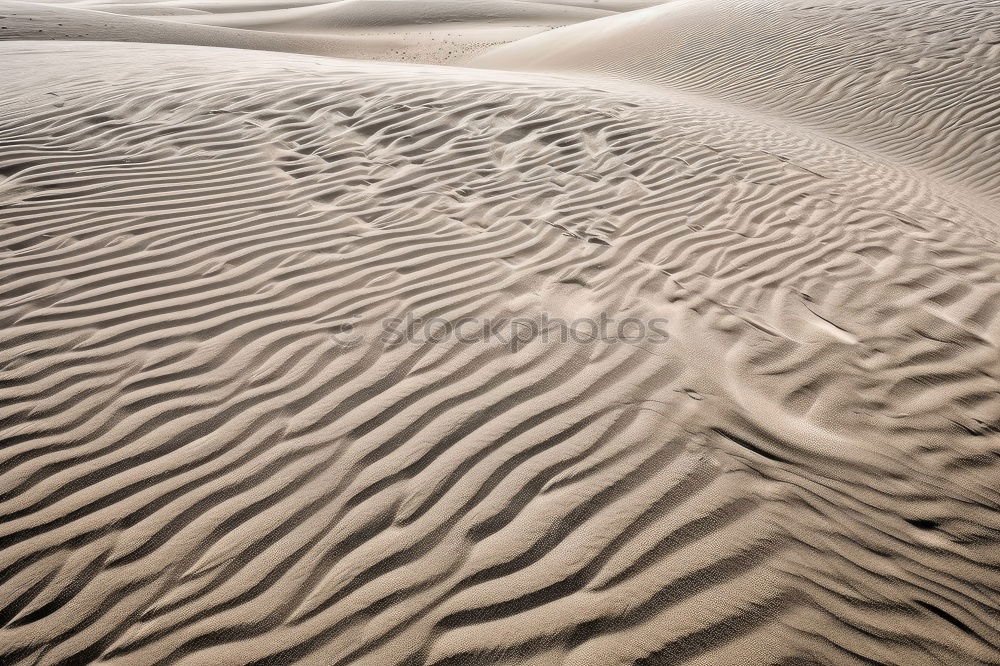 Similar – sand Calm Nature Sand