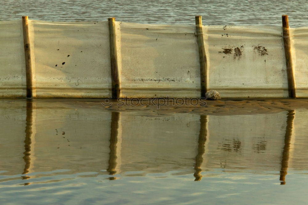 Similar – Foto Bild Im Süden nichts Neues