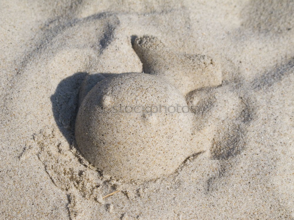 Similar – Image, Stock Photo Funny face made of sand