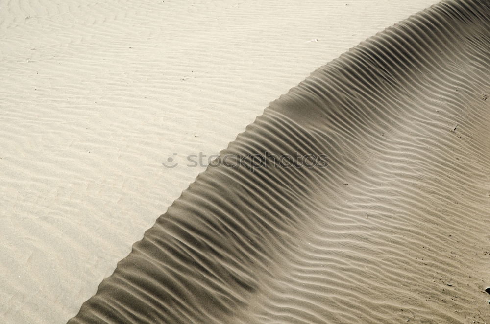 Similar – Desert (2/10) Sand Dune