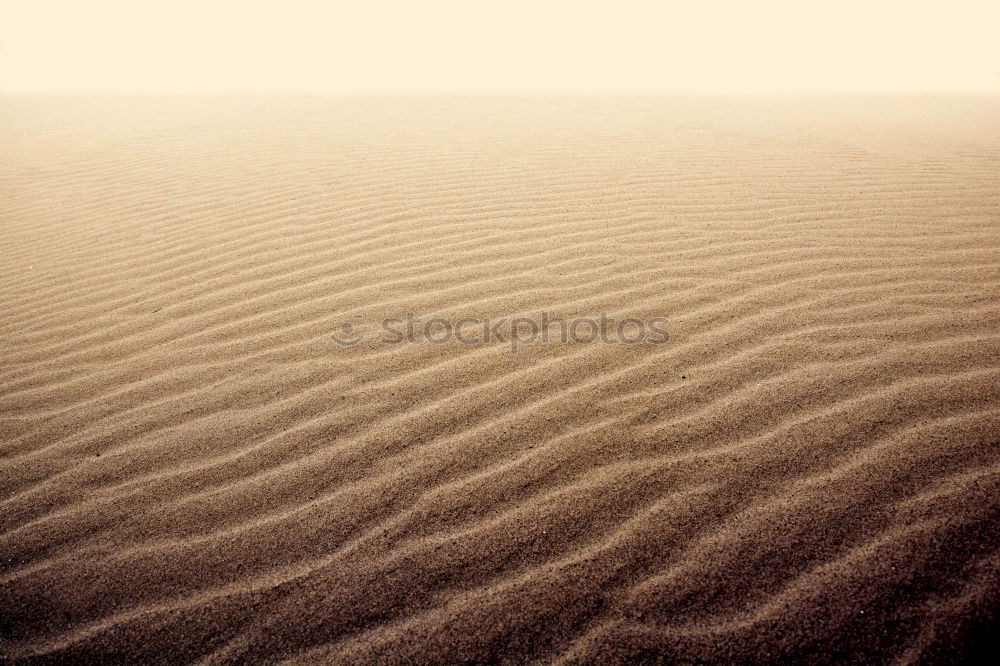 Similar – Image, Stock Photo Snow dunes on Rügen