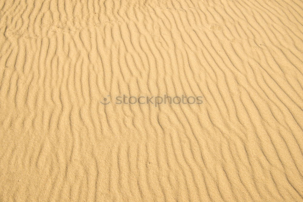 Similar – Sand texture on the beach