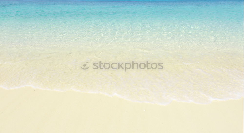 Similar – Image, Stock Photo Relaxed