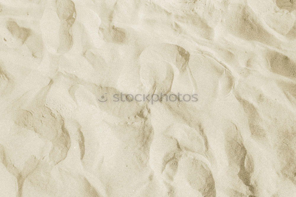 Similar – spur am strand Sand Strand