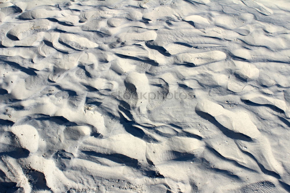 Similar – snow tracks Winter Ice