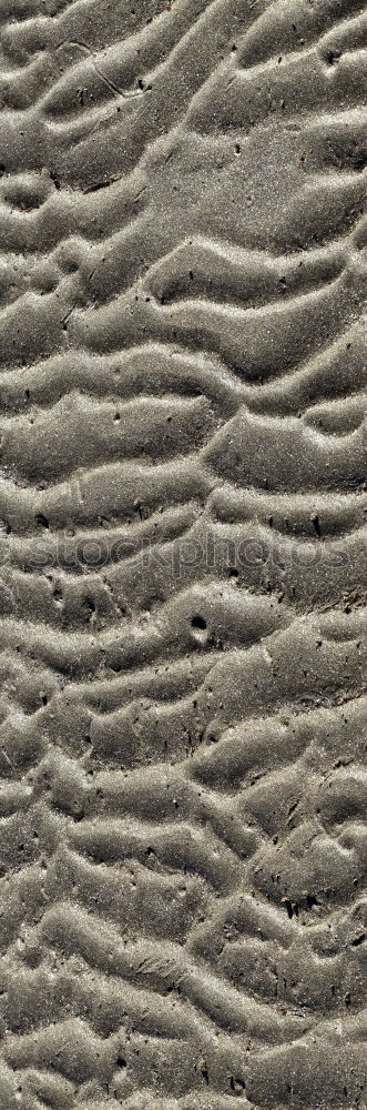 Image, Stock Photo dry sand and the beach in lanzarote