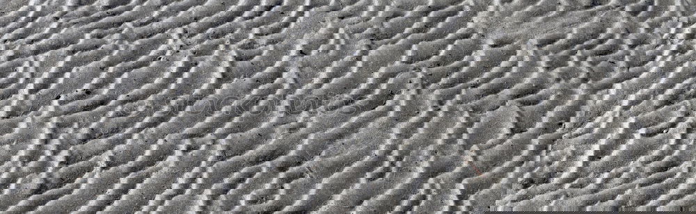 Similar – Image, Stock Photo dry sand and the beach in lanzarote