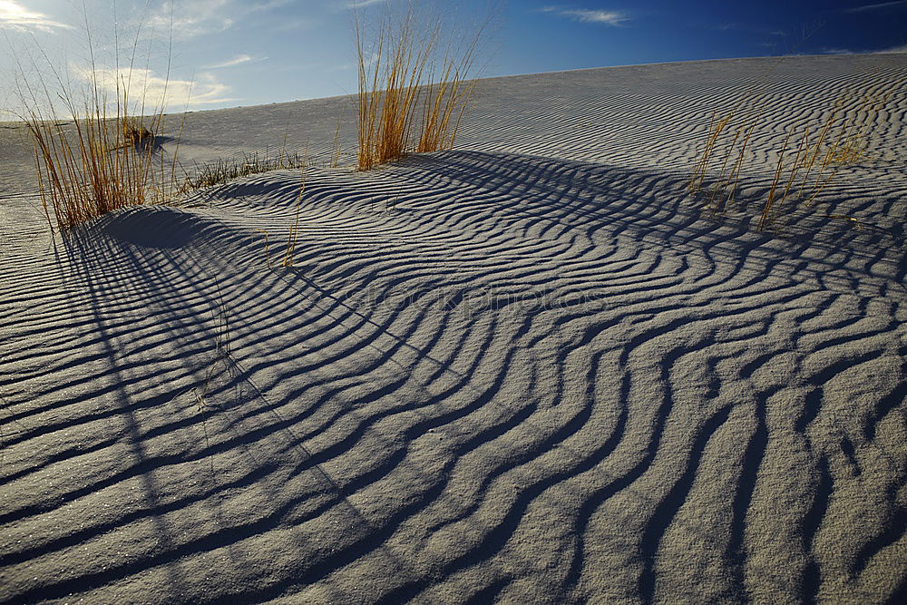 Similar – Image, Stock Photo tracks Drought Vehicle