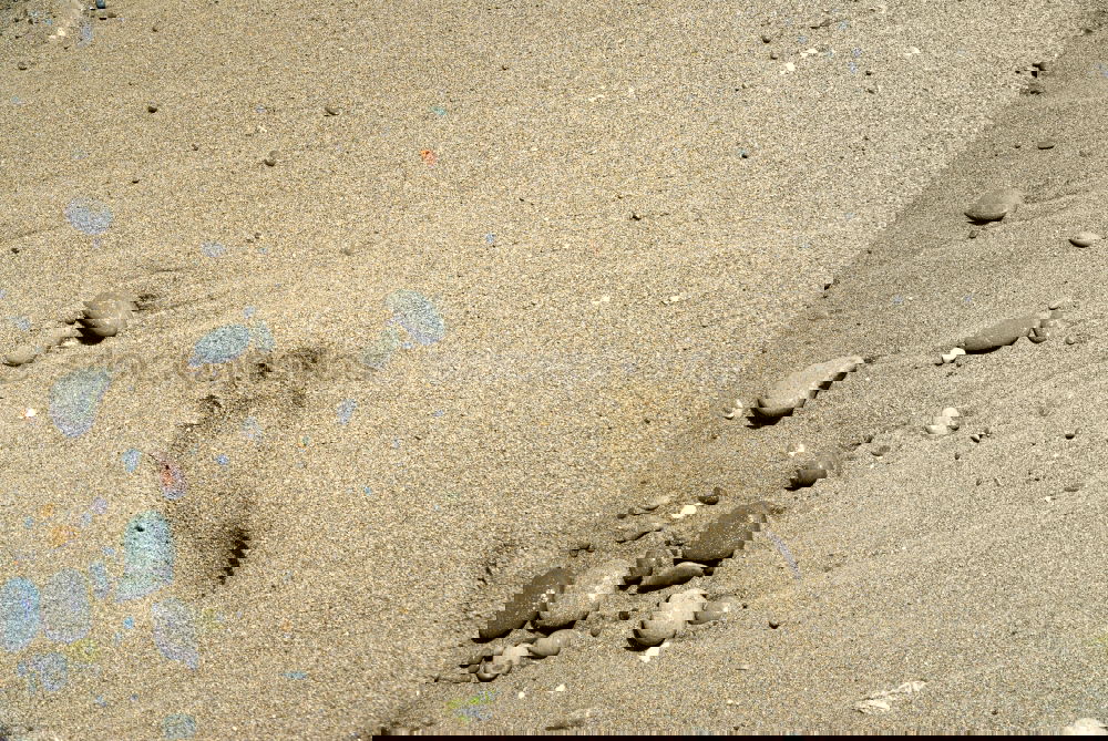 Similar – Foto Bild Das knirscht! Strand Meer