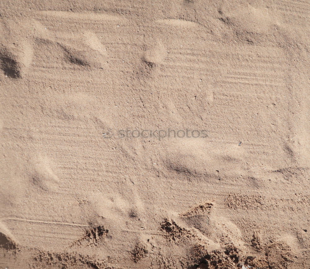 Similar – Image, Stock Photo traces in the sand…
