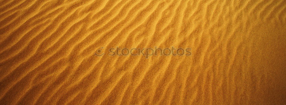 Similar – he sahara morocco desert