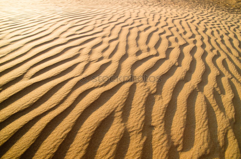 sandy desert Beach Sunset