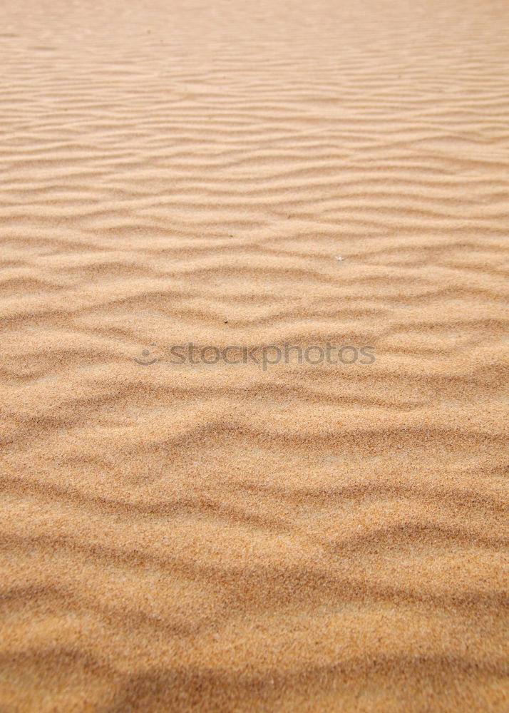 footprint Ocean Feet Sand